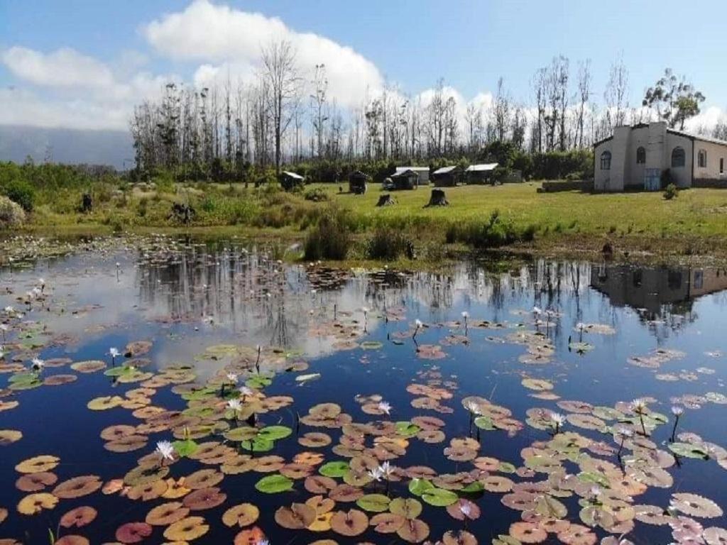 Cadeau Hiking And Accommodation Witelsbos Εξωτερικό φωτογραφία